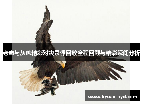 老鹰与灰熊精彩对决录像回放全程回顾与精彩瞬间分析