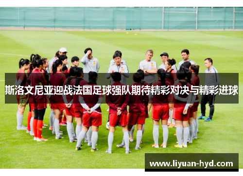 斯洛文尼亚迎战法国足球强队期待精彩对决与精彩进球