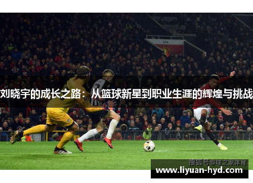 刘晓宇的成长之路：从篮球新星到职业生涯的辉煌与挑战